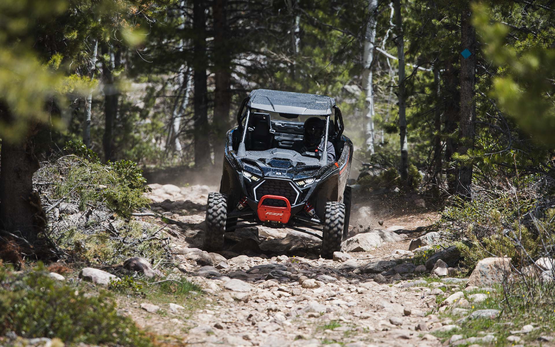 Polaris RZR Pro XP