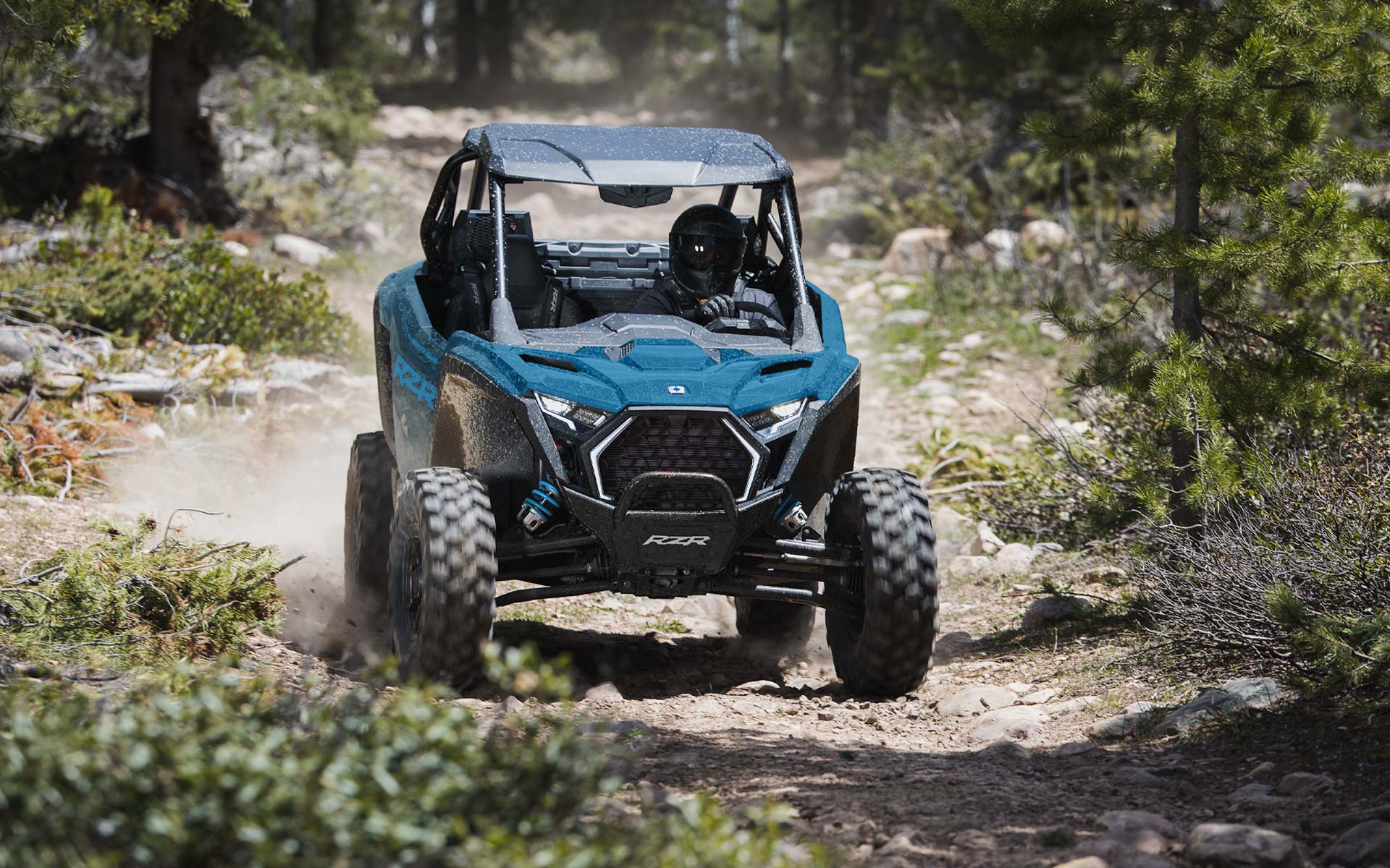 Polaris RZR Pro XP